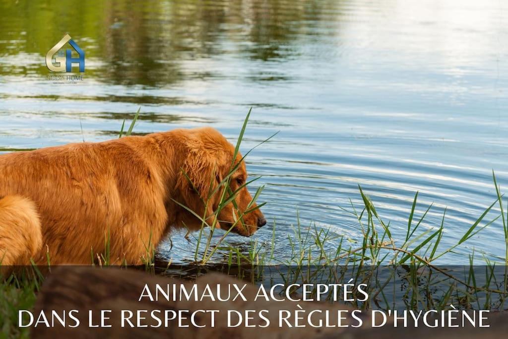 *L'Ecrin De L'Etang* Depaysement Assure Villa Bourbourg Екстериор снимка