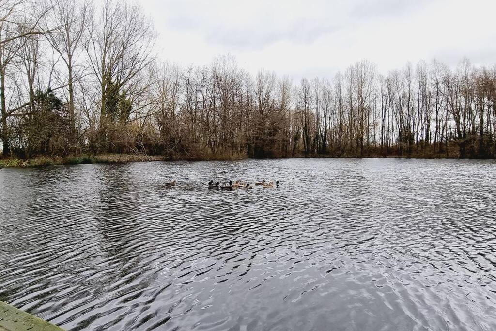 *L'Ecrin De L'Etang* Depaysement Assure Villa Bourbourg Екстериор снимка
